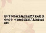 我叫李亦非(有没有合适的英文名介绍 我叫李亦非  有没有合适的英文名详细情况如何)
