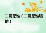 二哥是谁（二哥是谁唱的）