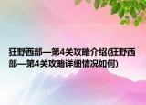 狂野西部—第4关攻略介绍(狂野西部—第4关攻略详细情况如何)