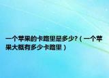 一个苹果的卡路里是多少?（一个苹果大概有多少卡路里）