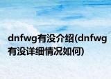 dnfwg有没介绍(dnfwg有没详细情况如何)