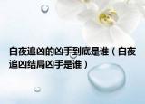 白夜追凶的凶手到底是谁（白夜追凶结局凶手是谁）