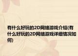 有什么好玩的2D网络游戏介绍(有什么好玩的2D网络游戏详细情况如何)