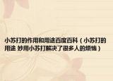 小苏打的作用和用途百度百科（小苏打的用途 妙用小苏打解决了很多人的烦恼）