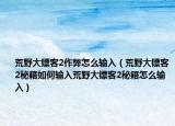 荒野大镖客2作弊怎么输入（荒野大镖客2秘籍如何输入荒野大镖客2秘籍怎么输入）