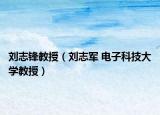 刘志锋教授（刘志军 电子科技大学教授）