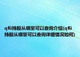 qfii持股从哪里可以查询介绍(qfii持股从哪里可以查询详细情况如何)