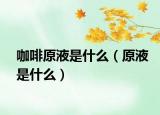 咖啡原液是什么（原液是什么）