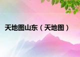 天地图山东（天地图）