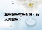 草鱼鲤鱼有鱼石吗（石人沟鲤鱼）