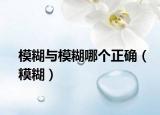 模糊与模糊哪个正确（糢糊）