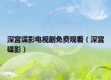 深宫谍影电视剧免费观看（深宫碟影）