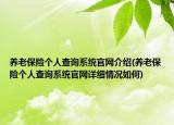 养老保险个人查询系统官网介绍(养老保险个人查询系统官网详细情况如何)