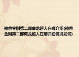 神兽金刚第二部鹰龙超人在哪介绍(神兽金刚第二部鹰龙超人在哪详细情况如何)