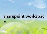 sharepoint workspace