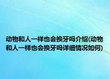 动物和人一样也会换牙吗介绍(动物和人一样也会换牙吗详细情况如何)