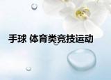 手球 体育类竞技运动