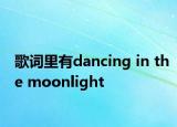 歌词里有dancing in the moonlight