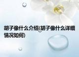 胡子像什么介绍(胡子像什么详细情况如何)