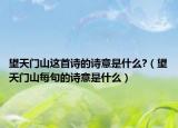 望天门山这首诗的诗意是什么?（望天门山每句的诗意是什么）
