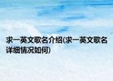 求一英文歌名介绍(求一英文歌名详细情况如何)