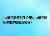小s第三胎何时生介绍(小s第三胎何时生详细情况如何)