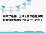 翡翠翠绿是什么绿（翡翠绿色多叫什么翡翠翡翠绿色多叫什么名字）