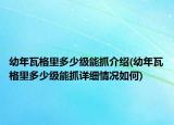 幼年瓦格里多少级能抓介绍(幼年瓦格里多少级能抓详细情况如何)
