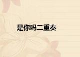 是你吗二重奏