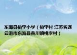 东海县桃李小学（桃李村 江苏省连云港市东海县黄川镇桃李村）