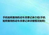 手机如何查询机动车违章记录介绍(手机如何查询机动车违章记录详细情况如何)