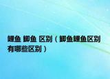 鲤鱼 鲫鱼 区别（鲫鱼鲤鱼区别 有哪些区别）
