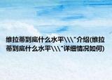 维拉蒂到底什么水平\