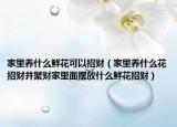 家里养什么鲜花可以招财（家里养什么花招财并聚财家里面摆放什么鲜花招财）