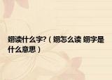 翊读什么字?（翊怎么读 翊字是什么意思）
