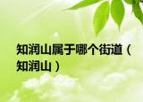 知润山属于哪个街道（知润山）