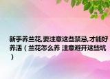 新手养兰花,要注意这些禁忌,才能好养活（兰花怎么养 注意避开这些坑）