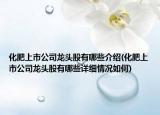 化肥上市公司龙头股有哪些介绍(化肥上市公司龙头股有哪些详细情况如何)
