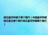 棉花最早种植于哪个朝代（中国最早种植棉花是在哪个朝代棉花最早种植哪个朝代）