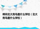 郴州北大青鸟是什么学校（北大青鸟是什么学校）