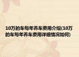 10万的车每年养车费用介绍(10万的车每年养车费用详细情况如何)