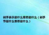 剁手表示是什么意思是什么（剁手节是什么意思是什么）