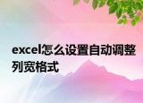 excel怎么设置自动调整列宽格式