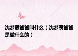 沈梦辰爸爸叫什么（沈梦辰爸爸是做什么的）