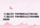 《三国之刃》竹林寻踪怎么打才快介绍(《三国之刃》竹林寻踪怎么打才快详细情况如何)