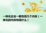 一体化企业一般包括几个内容（一体化的内容包括什么）