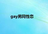 gay男同性恋