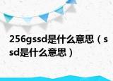 256gssd是什么意思（ssd是什么意思）