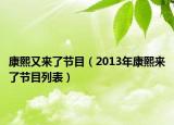 康熙又来了节目（2013年康熙来了节目列表）
