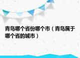 青岛哪个省份哪个市（青岛属于哪个省的城市）
